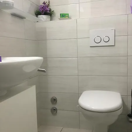 Casa Sul Lago Διαμέρισμα Ronco sopra Ascona